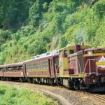 202512町会だより